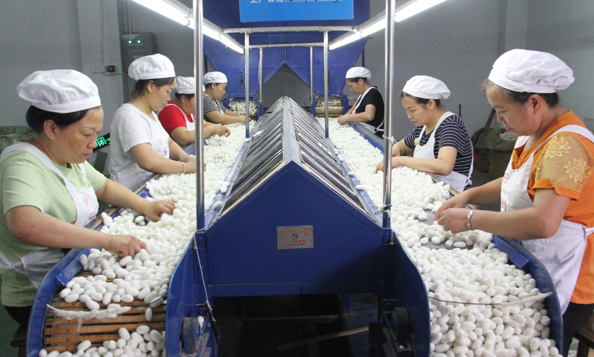 白厂丝|粗丝|丝绸|生丝|丝绵被--四川安泰茧丝绸集团有限公司