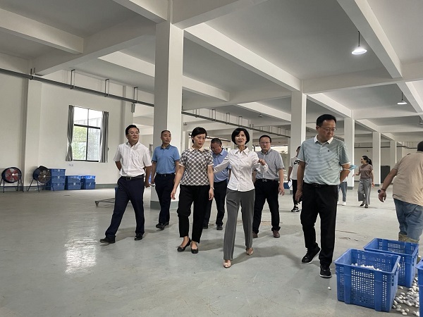 绵阳市委副书记王华蓉一行调研天虹丝绸