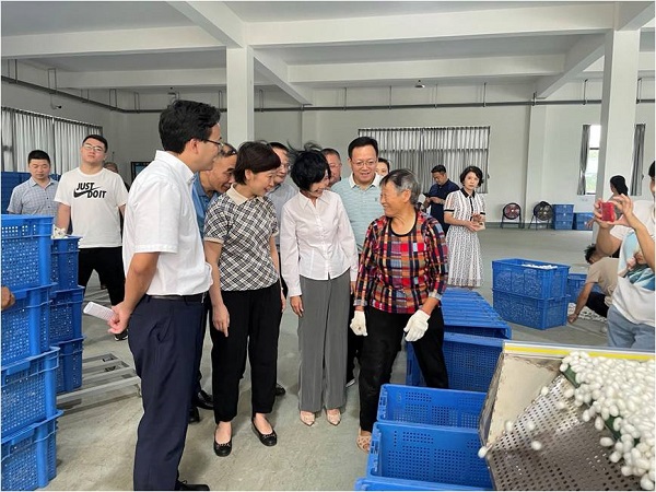 绵阳市委副书记王华蓉一行调研天虹丝绸