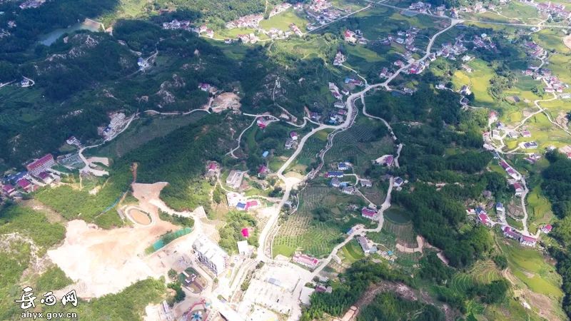 蚕桑利用丨安徽岳西桑树枝条变金条群众鼓腰包